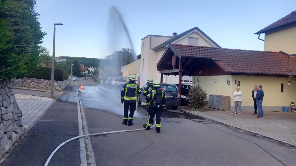 Zuschauer gabs auch noch..